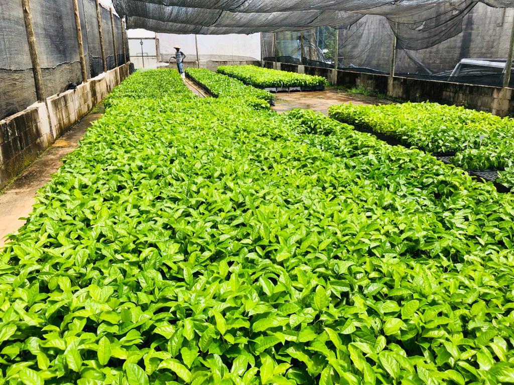 WhatsApp Image 2024-08-21 at 13.25.20 (2).jpeg